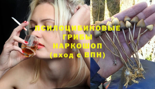 ГАЛЛЮЦИНОГЕННЫЕ ГРИБЫ Медвежьегорск