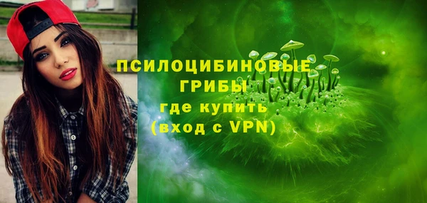 ГАЛЛЮЦИНОГЕННЫЕ ГРИБЫ Медвежьегорск