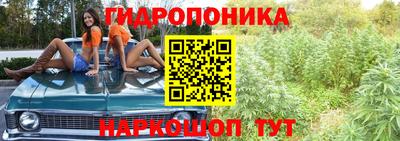 мяу мяу мука Аргун