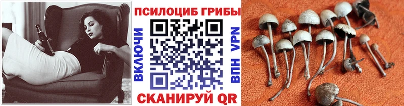 Псилоцибиновые грибы MAGIC MUSHROOMS  Топки 
