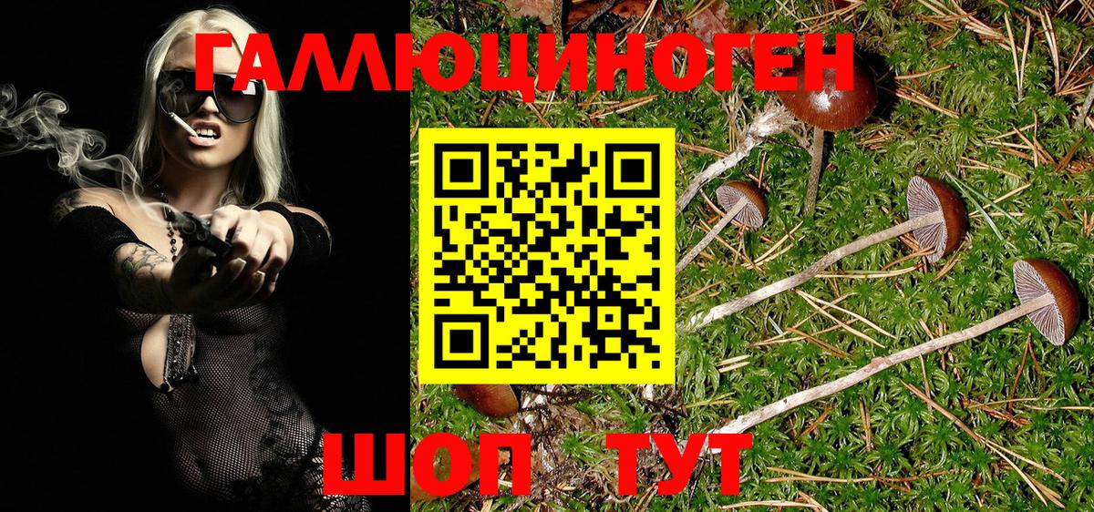 Псилоцибиновые грибы ЛСД Топки