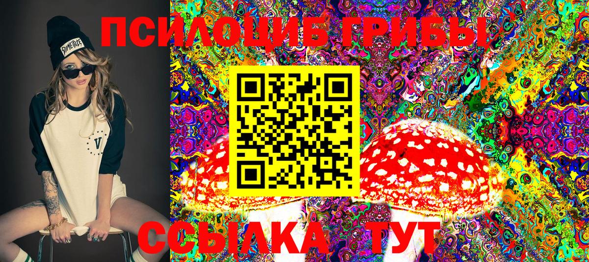 ГАШ Топки