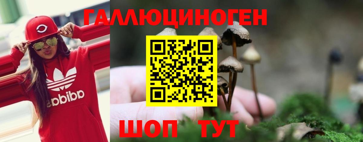 Галлюциногенные грибы ЛСД  купить   Топки  Галлюциногенные грибы Psilocybe 