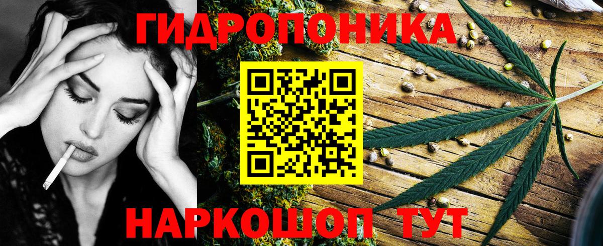 Каннабис сатива Топки
